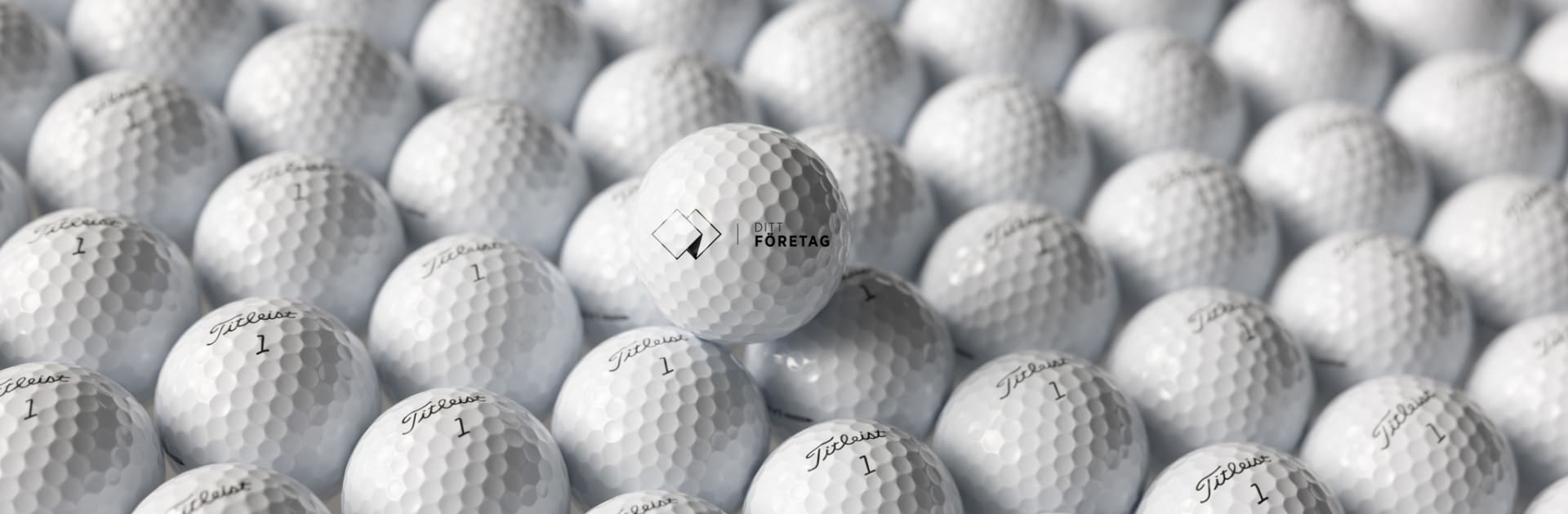 TITLEIST LOGOBOLL